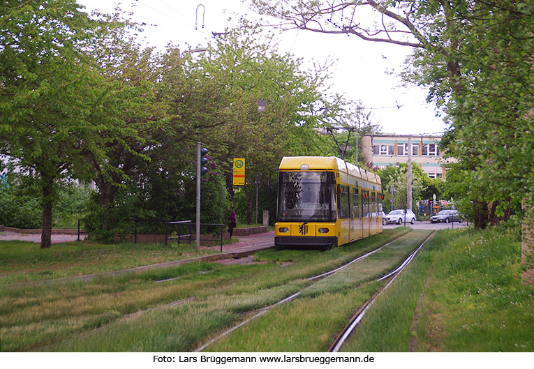 Die Straßenbahn in Dresden an der Haltestelle Straßburger Platz