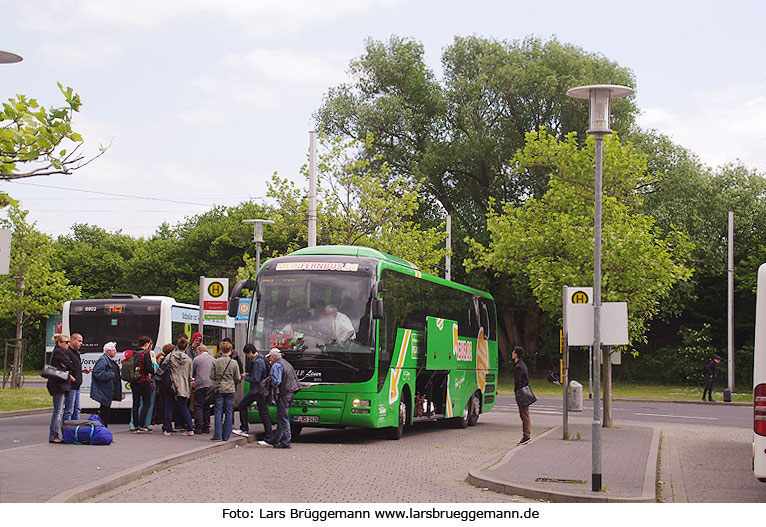Ein Fernbus von Meinfernbus auf dem ZOB in Braunschweig - ein MAN RHC 444 Lion´s Coach L (R08)