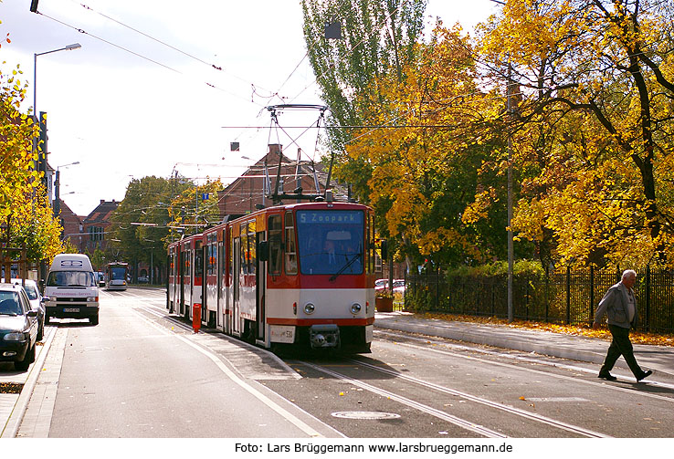 Tatra Straßenbahn an der Haltestelle Salinenstraße