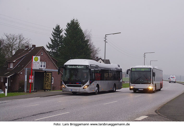 Zwei Busse der VHH in Hamburg an der Haltestelle Altengamme Löschplatz