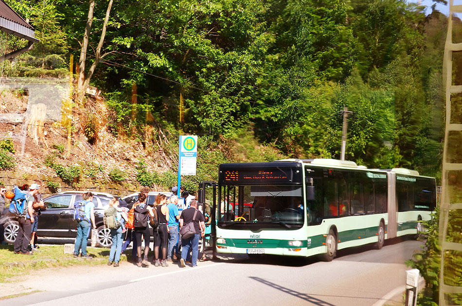 Ein RVSOE Bus an der Haltestelle Lichtenhainer Wasserfall