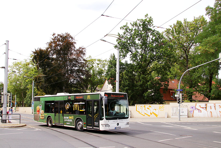 Ein Bus von Taeter Tours an der Haltestelle Angelikastraße in Dresden