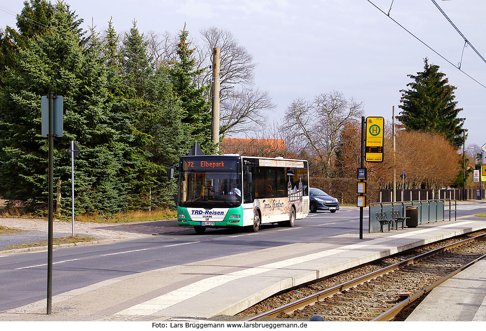 Ein MAN-Bus von TRD-Reisen an der Haltestelle Brunnenweg in Dresden