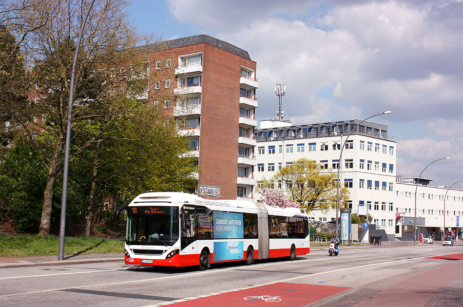 Ein Hochbahn Gelenkbus in der Königstraße in Hamburg-Altona-Altstadt