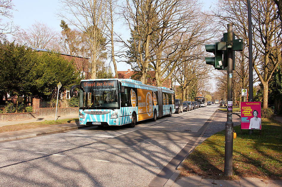 Ein Cebus an der Bushaltestelle Kalckreuthweg (Mitte) in Hamburg-Othmarschen