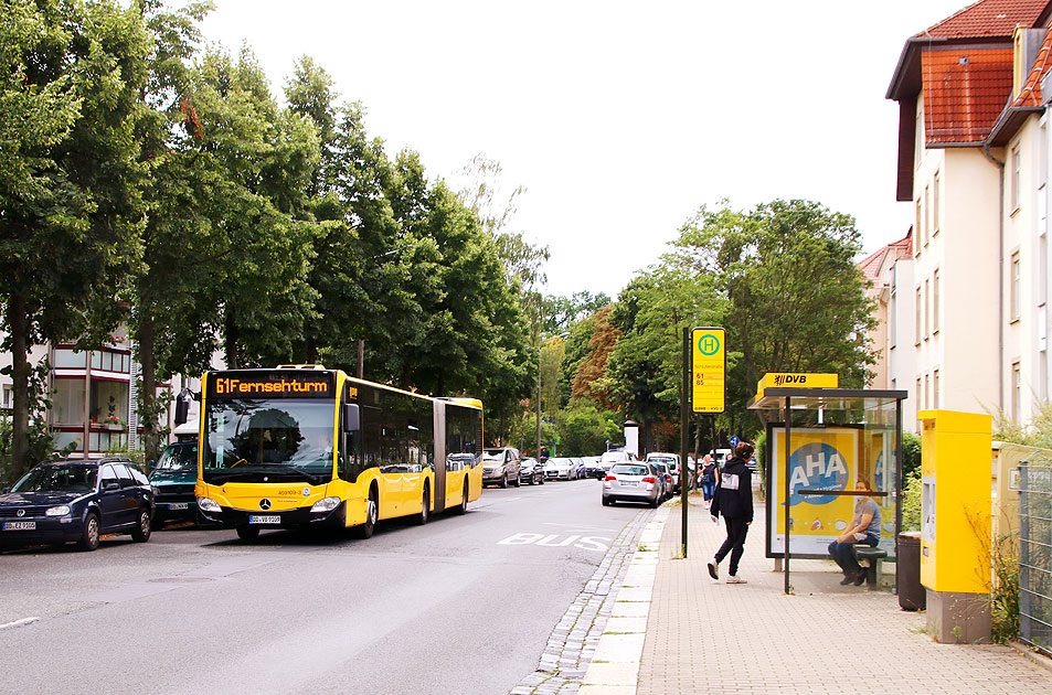 Die Bushaltestelle Schlüterstraße der DVB in Dresden