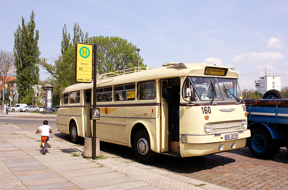 Ein Ikarus 66 als Museumsbus im Planbetrieb in Dresden an der Haltestelle Altcotta