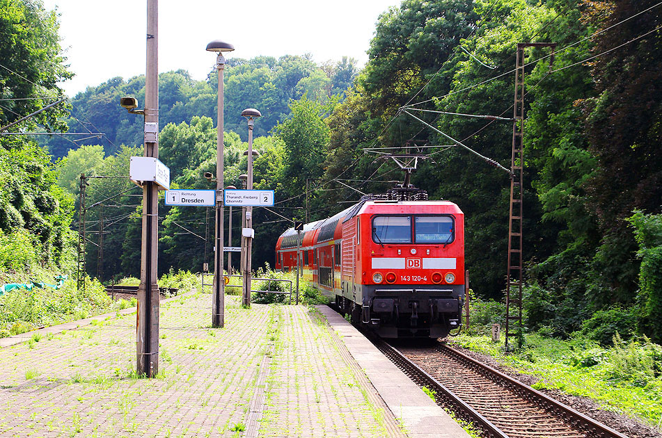 Die DB Baureihe 143 im Bahnhof Dresden-Plauen