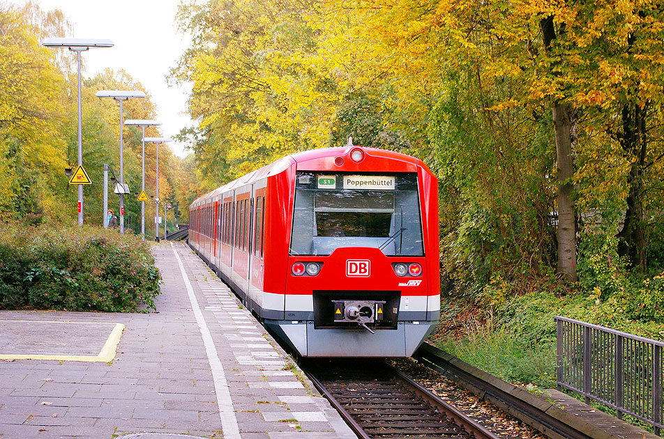 Eine S-Bahn im Bahnhof Wellingsbüttel in Hamburg