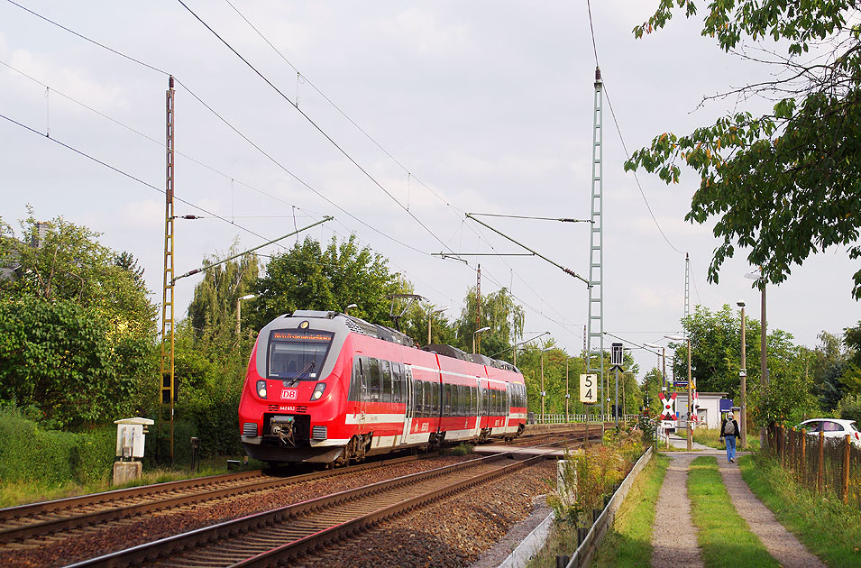 DB Baureihe 442 im Bahnhof Dresden-Stetzsch