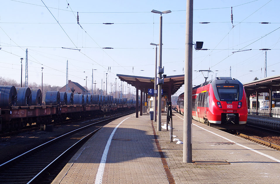 Eine Hamsterbacke im Bahnhof Hoyerswerda