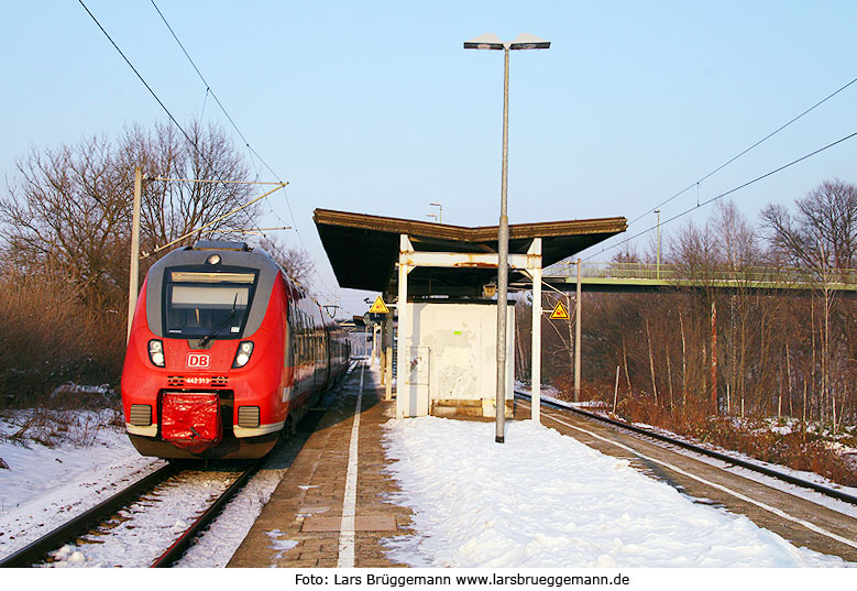 DB Baureihe 442 im Bahnhof Dresden Industriegelände