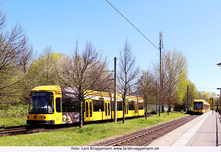 Die Straßenbahn in Dresden an der Haltestelle Prohlis