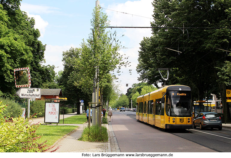 Die Haltestelle Querallee der Straßenbahn in Dresden