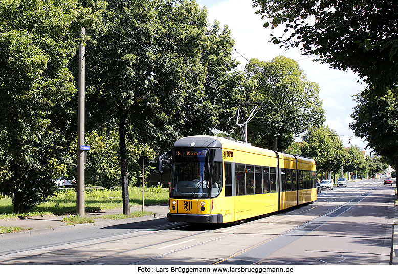 Die Haltestelle Wieckestraße der Straßenbahn in Dresden