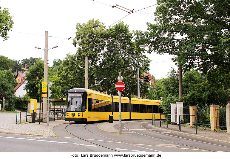 Die Haltestelle Wilder Mann der Straßenbahn in Dresden