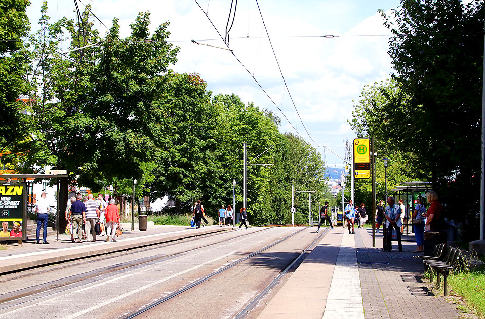 Die Haltestelle Merianplatz der Straßenbahn in Dresden