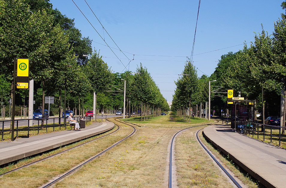 Die Straßenbahn in Dresden - Haltestelle Karcherallee - Rasengleis bei der Straßenbahn