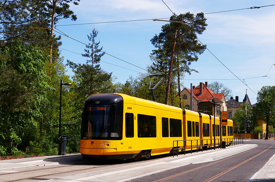 Eine Straßenbahn in Dresden an der Haltestelle Kleinzschachwitz