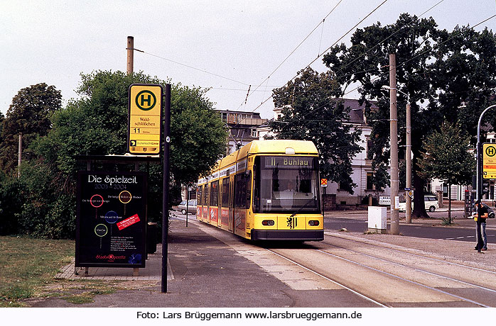 Straßenbahn Dresden NGT6DD Haltestelle Waldschlößchen