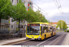 Die Haltestelle Zwinglistraße der Buslinie 64 in Dresden von der DVB