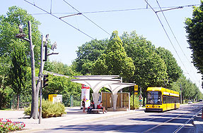 Die Haltestelle Zoo der Straßenbahn in Dresden