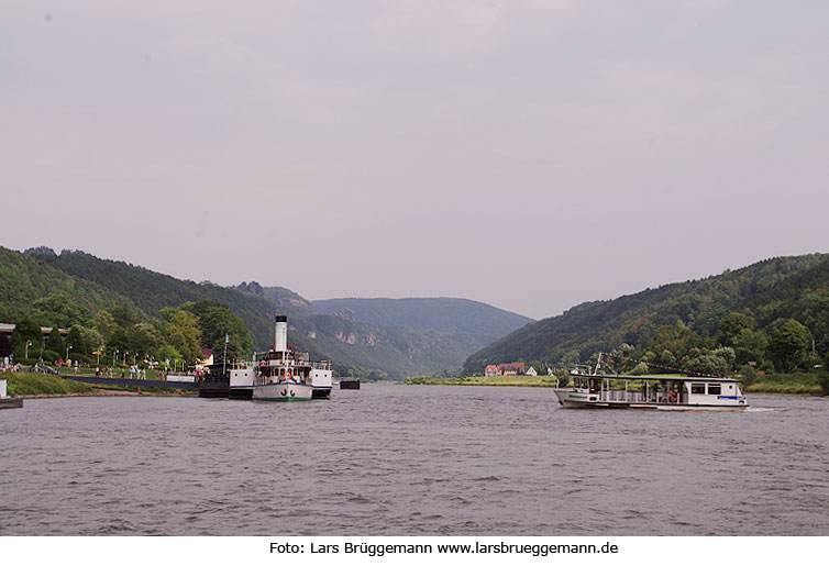 Die OVPS Elbfähre Winterberg II in Bad Schandau auf der Elbe