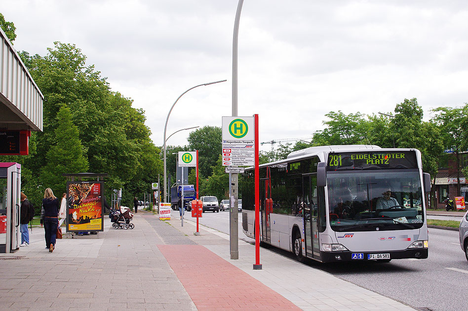 Ein PVG-Bus an der Haltestelle U-Bahn Hagenbecks-Tierpark