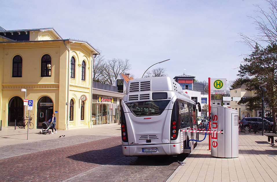 Foto Bus, Bergziege