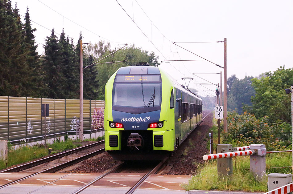 Ein Nordbahn-Triebwagen im Bahnhof Horst in Holstein