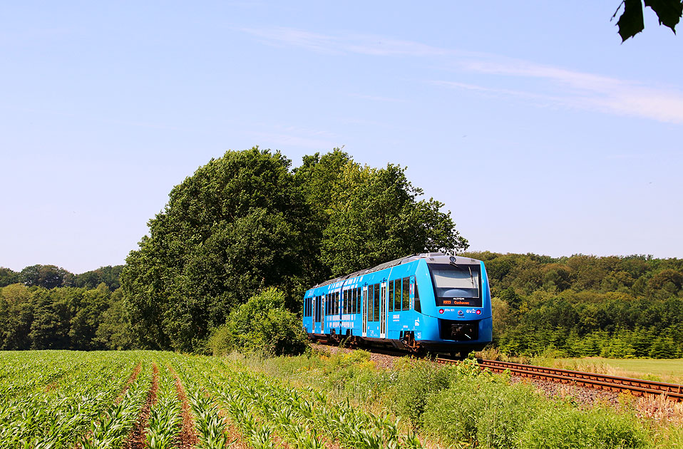Der Wasserstoffzug der EVB von Alstom im Bahnhof Ruschwedel