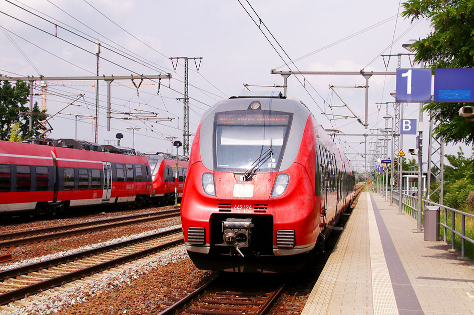 Das ist ein Zug von DB Regio, von einigen Fahrgästen auch einfach Regio genannt: Ein Triebwagen der Baureihe 442 im Bahnhof Golm