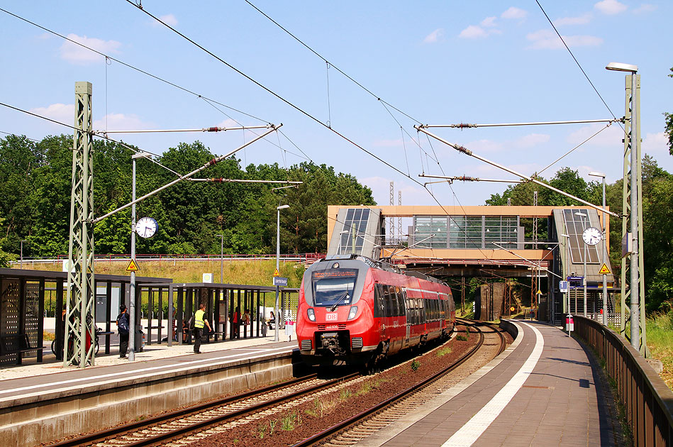 Das ist ein Zug von DB Regio, von einigen Fahrgästen auch einfach Regio genannt: Eine Hamsterbacke der Baureihe 442 im Bahnhof Ludwigsfelde-Struveshof