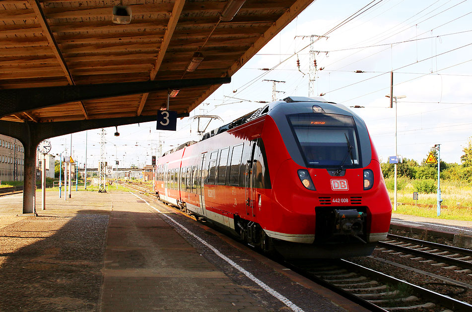 Eine Hamsterbacke der Baureihe 442 im Bahnhof Falkenberg (Elster)