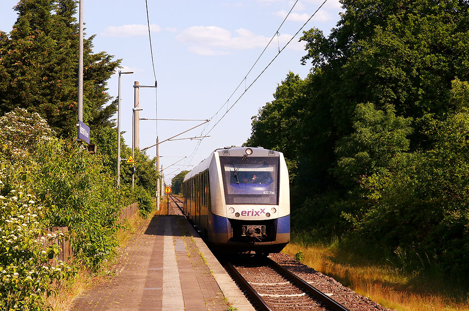 Ein Erixx Lint im Bahnhof Stederdorf