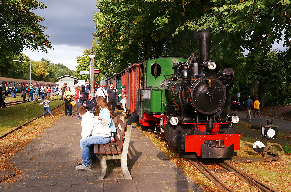 Die Lok vom DFKM im Bahnhof Deinste