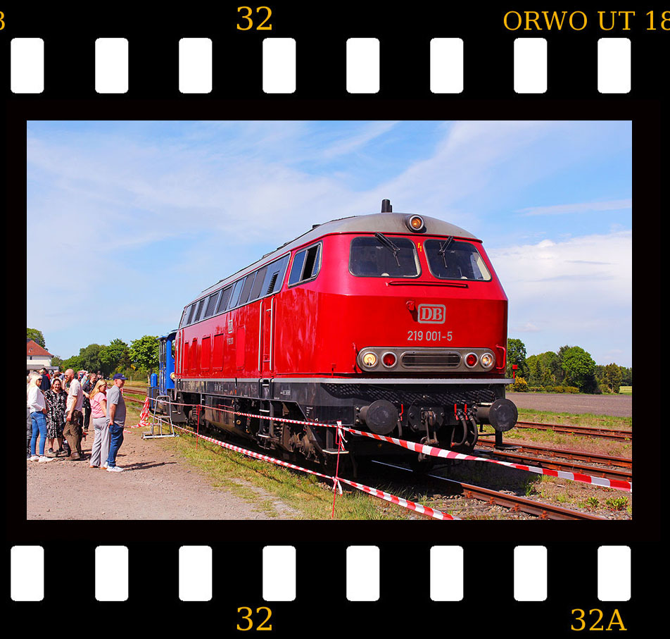 Die 219 001-5 von Lokrapid im Bahnhof Gnarrenburg