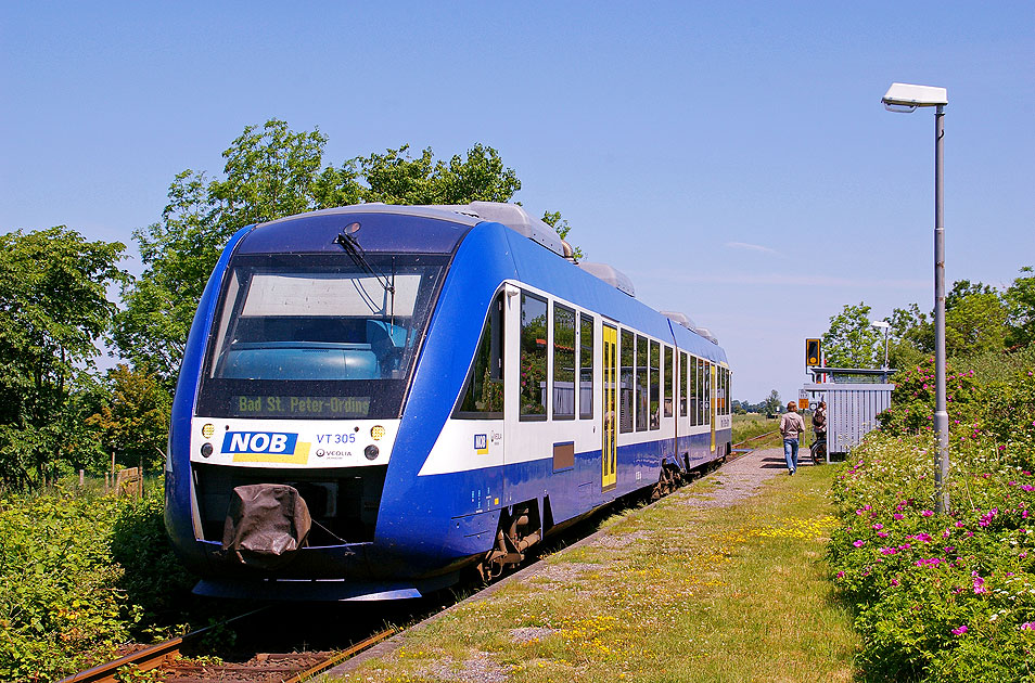 Ein NOB Lint-Triebwagen im Bahnhof Witzwort