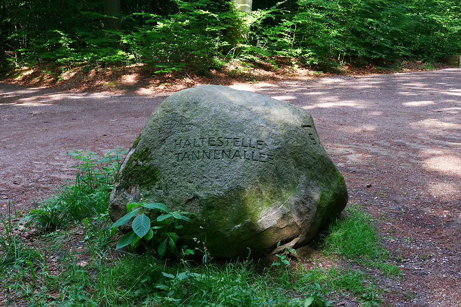 Der Gedenkstein für die Haltestelle Tannenallee der Kleinbahn Alt-Rahlstedt-Volksdorf-Wohldorf