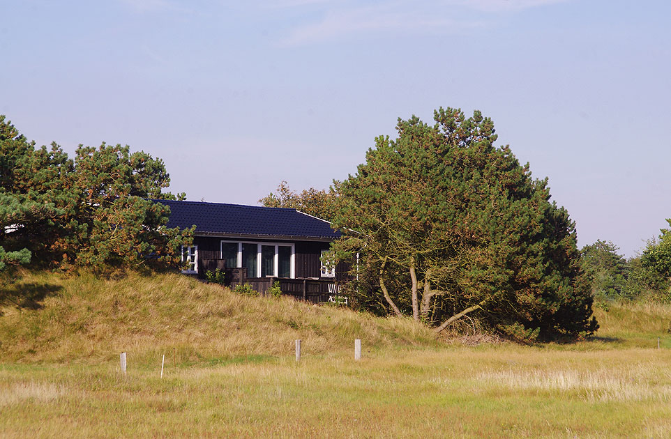 Ein Haus auf der Insel Rømø in Havneby