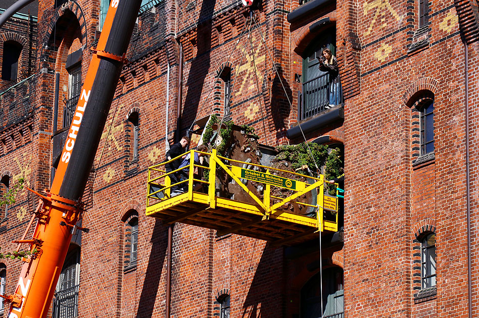 Das Miniatur Wunderland bekommt den Regenwald geliefert
